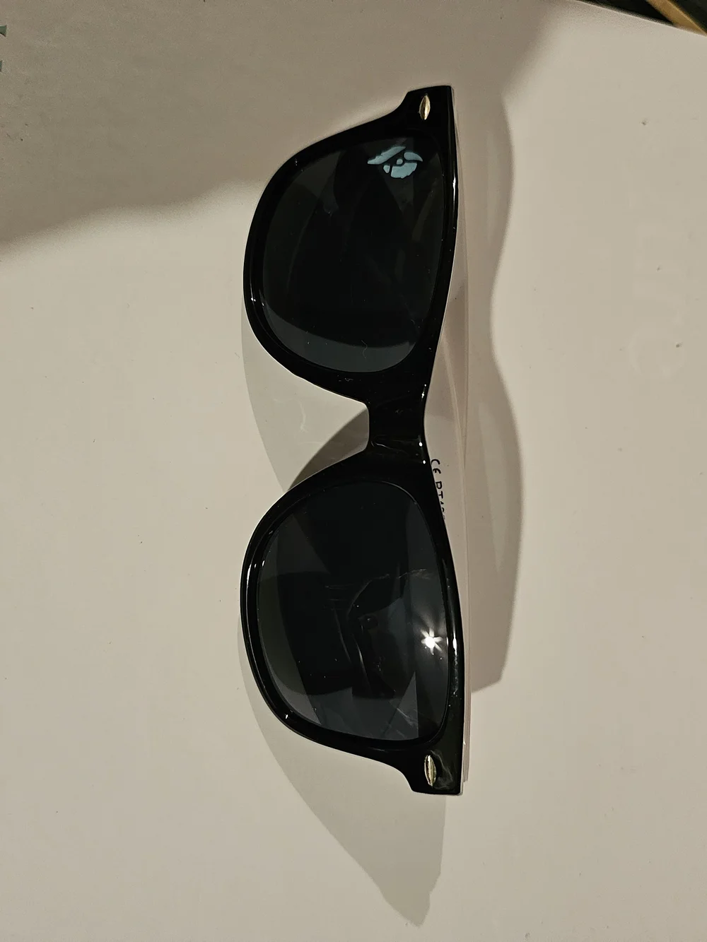 Women's Black Bison Sunglasses